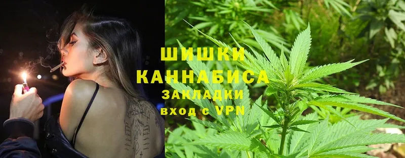 Бошки марихуана Ganja  Данилов 